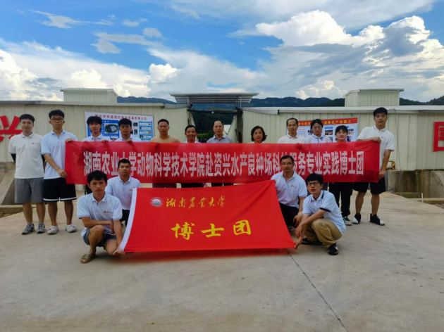 图片 3.png