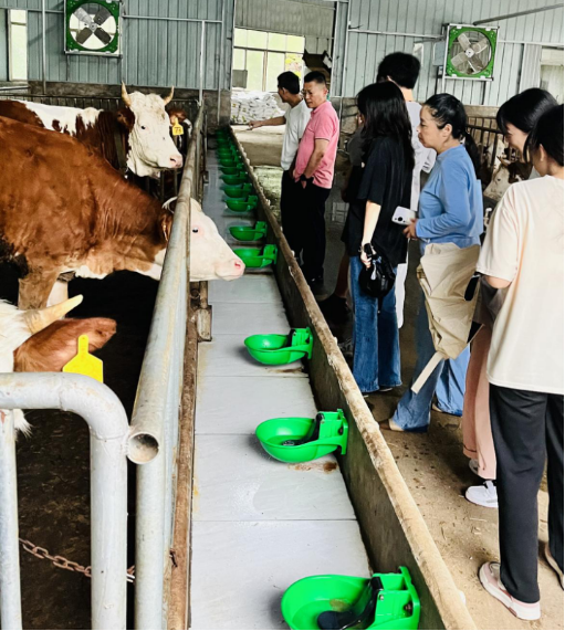 肉牛养殖与饲料营养价值评价团队到长沙县开展肉牛养殖技术服务工