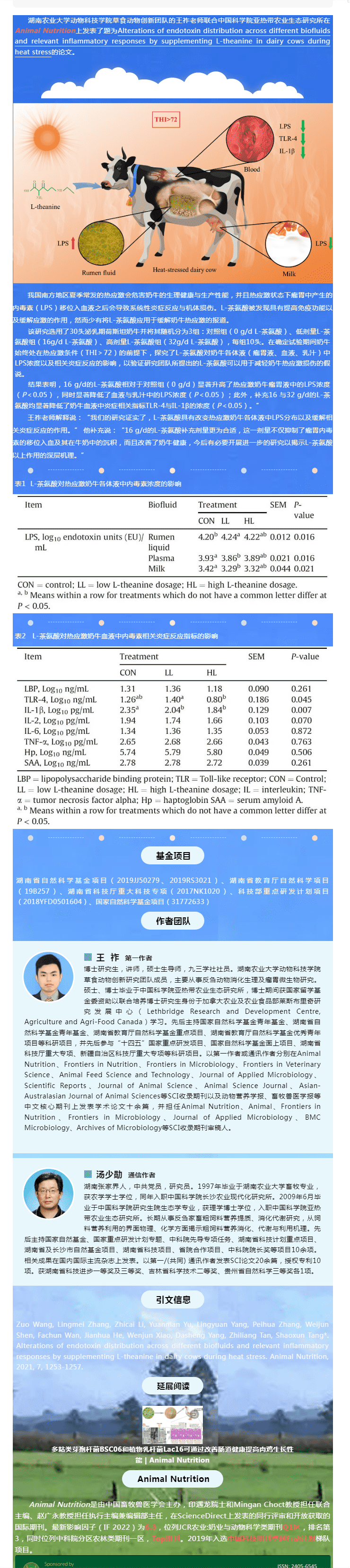 L-茶氨酸影响了热应激奶牛各体液间内毒素的分布与炎症反应 _ Animal Nutrition_new.png